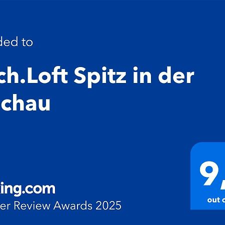 Ferienwohnung Dach.Loft Spitz in der Wachau Spitz an der Donau Exterior foto